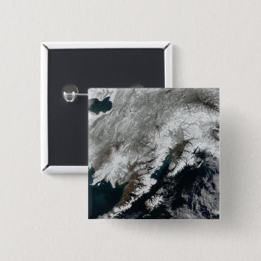 アラスカ 缶バッジ (正面&裏面)