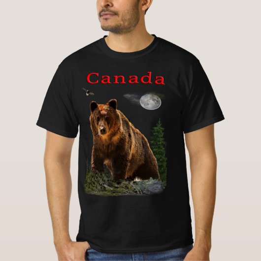 アラスカ Tシャツ (正面)