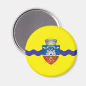 アラド市旗ルーマニアのシンボル マグネット (正面/裏面)