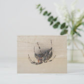 アラネウスオルブくもの巣スパイダーポストカード ポストカード (スタンド正面)