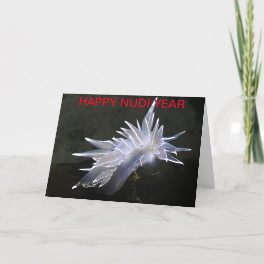 アラバスターヌディブランチカード – 新年 シーズンカード (正面)