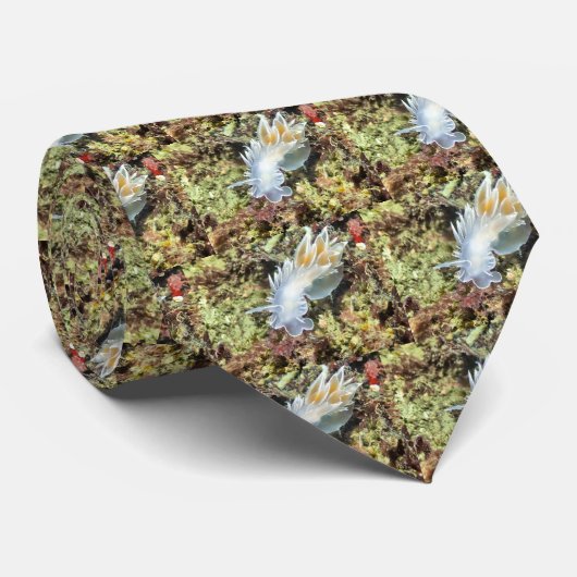 アラバスターNudibranch -タイ ネクタイ (ロール)