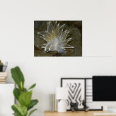 アラバスターNudibranch (Dirona albolineata)ポスター ポスター (ホームオフィス)