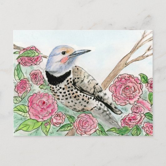 アラバマはがき ポストカード (正面)