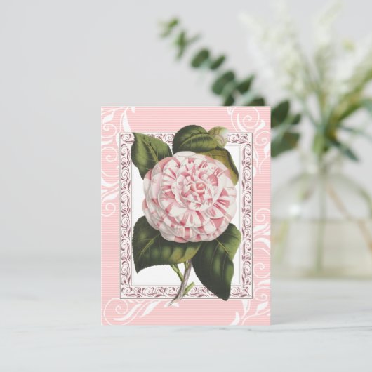 アラバマカメリアディナエレガントーパーティの招待状 招待状 (スタンド正面)