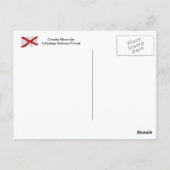 アラバマチェアハマウンテンタラデガフォレストポストカード ポストカード (裏面)