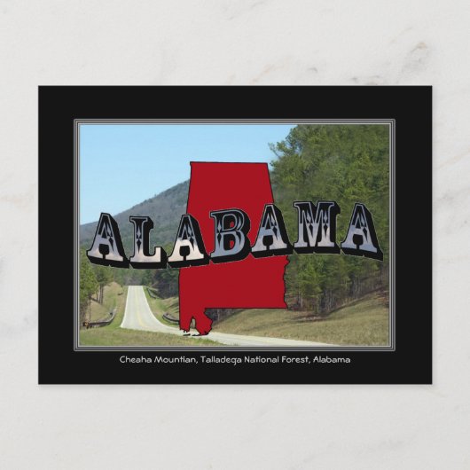アラバマチェアハマウンテンタラデガフォレストポストカード ポストカード (正面)
