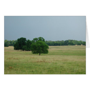 アラバマランドスケープ