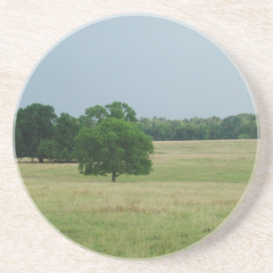 アラバマランドスケープ コースター