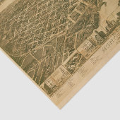 アラバマ州の州都モンゴメリーの地図（1887年） 薄葉紙 (詳細)