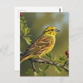 アラバマ州バードイエローファーマー ポストカード (正面/裏面)