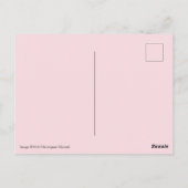 アラバマ州フラワーカメリアポストカード ポストカード (裏面)