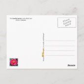 アラバマ州フラワーカメリア ポストカード (裏面)