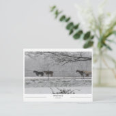 アラバマ州プラットビル ポストカード (スタンド正面)