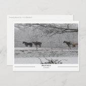 アラバマ州プラットビル ポストカード (正面/裏面)