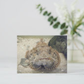 アラバマ海の命#3はがき ポストカード (スタンド正面)