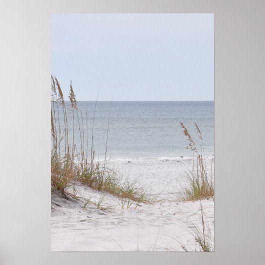 アラバマ湾岸海岸 ポスター (正面)