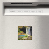 アラバマ磁石 マグネット (インサイチュ (食洗機))