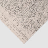 アラバマ6 薄葉紙 (詳細)