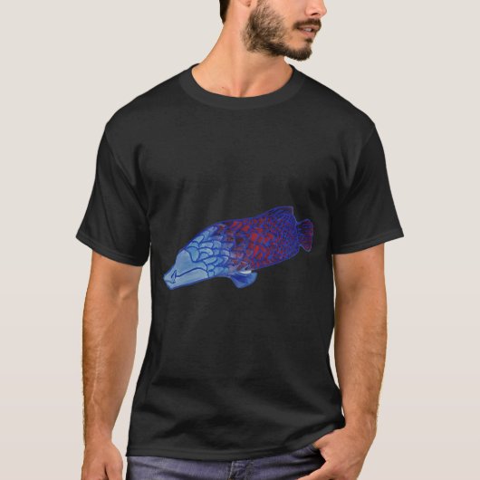 アラパイマ Tシャツ (正面)