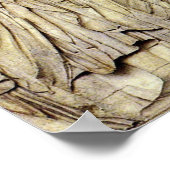 アラパシフリーズ ポスター (角)