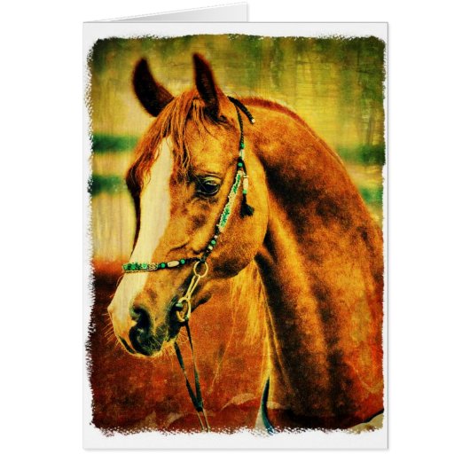 アラビアかわいらし語 (正面)