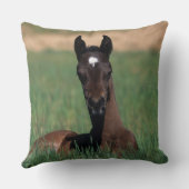 アラビアに子馬の置くこと クッション (裏面)