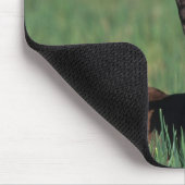 アラビアに子馬の置くこと マウスパッド (コーナー)