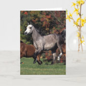 アラビアに馬の走ることのグループ カード (黄色い花)