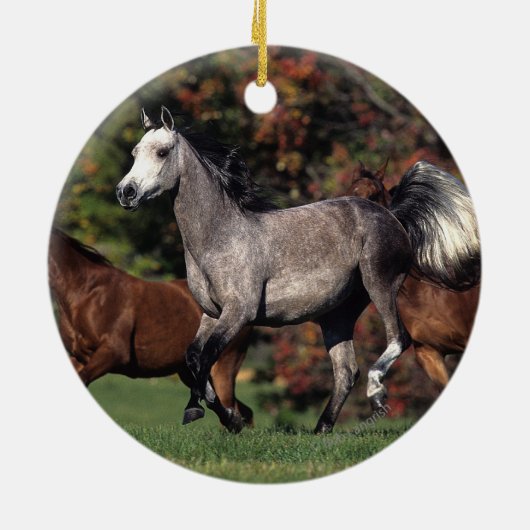 アラビアに馬の走ることのグループ セラミックオーナメント (裏面)