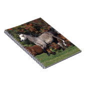 アラビアに馬の走ることのグループ ノートブック (右側)