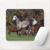 アラビアに馬の走ることのグループ マウスパッド (マウス)