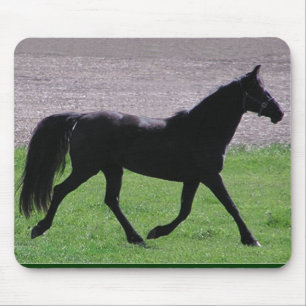 アラビアのプロフィールのmousepad マウスパッド