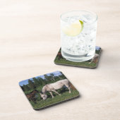 アラビアのロバ及び子馬2 コースター (右側)