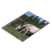 アラビアのロバ及び子馬2 ノートブック (左側)