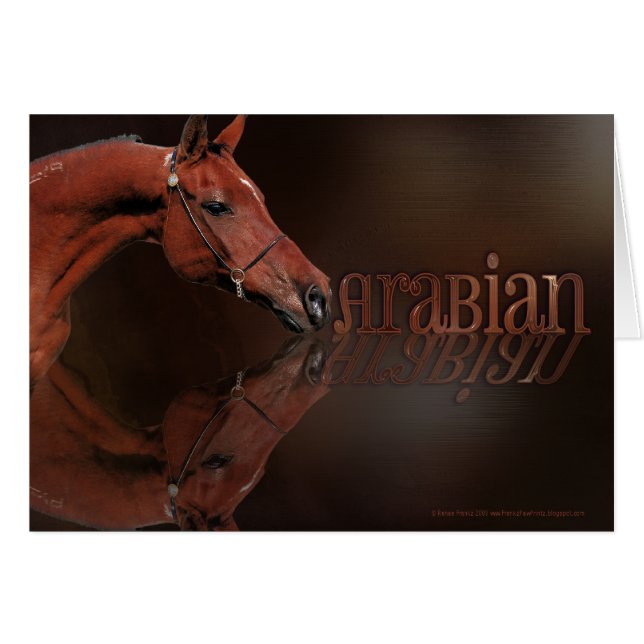 アラビアの反射-ママ (正面横)