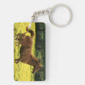 アラビアの子馬およびロバのランニング キーホルダー (裏面)