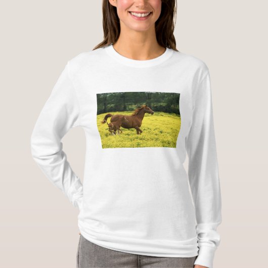 アラビアの子馬と馬が走る Tシャツ (正面)