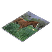 アラビアの子馬の地位 ノートブック (左側)