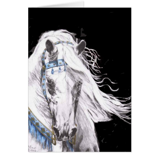 "アラビアの白" (正面)