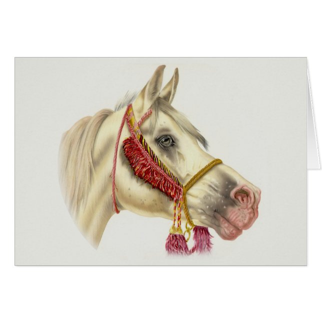 アラビアの種馬 (正面横)