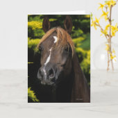 アラビアの種馬 カード (黄色い花)