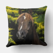 アラビアの種馬 クッション (裏面)