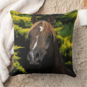 アラビアの種馬 クッション (ブランケット)