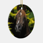 アラビアの種馬 セラミックオーナメント (右)