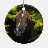 アラビアの種馬 セラミックオーナメント (裏面)