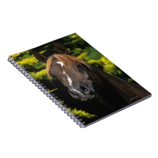 アラビアの種馬 ノートブック (右側)