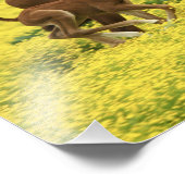 アラビアの馬と馬ランニングの馬は通る フォトプリント            (角)