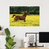 アラビアの馬と馬ランニングの馬は通る ポスター (ホームオフィス)