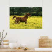 アラビアの馬と馬ランニングの馬は通る ポスター (キッチン)